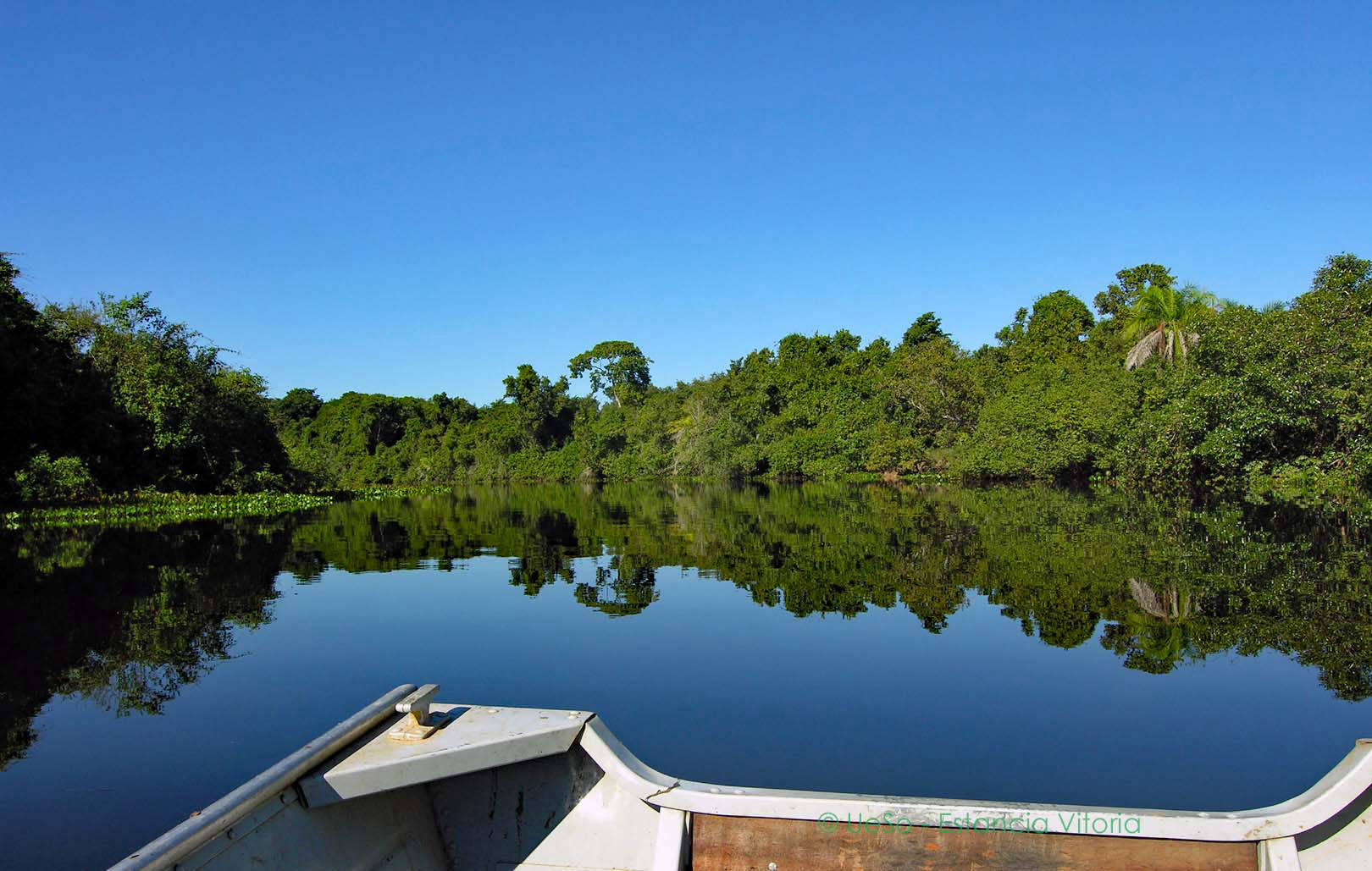 Bootsausflug auf Rio Claro