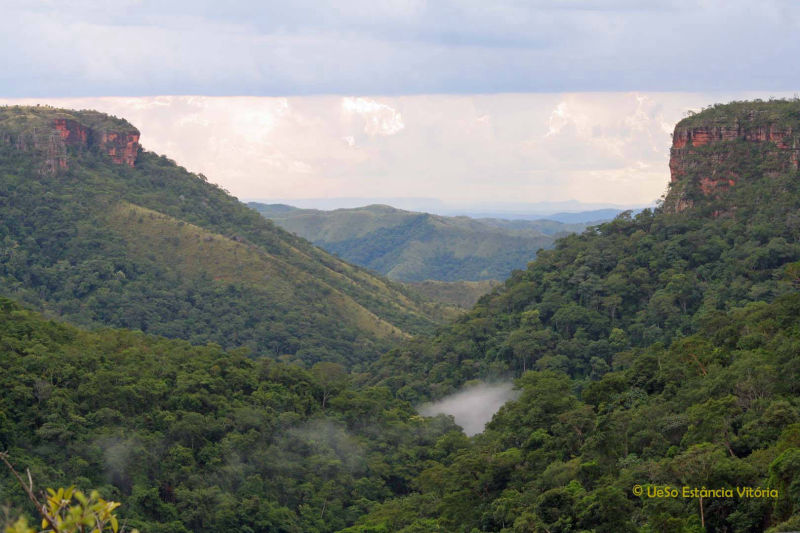 Chapada dos Guimarães, floresta e montanhas