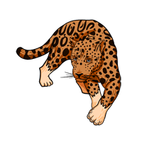 Safári da Onça-pintada no Pantanal