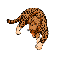 Safári da Onça-pintada no Pantanal