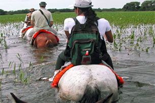 Pacote 2 - Caminhadas no Pantanal