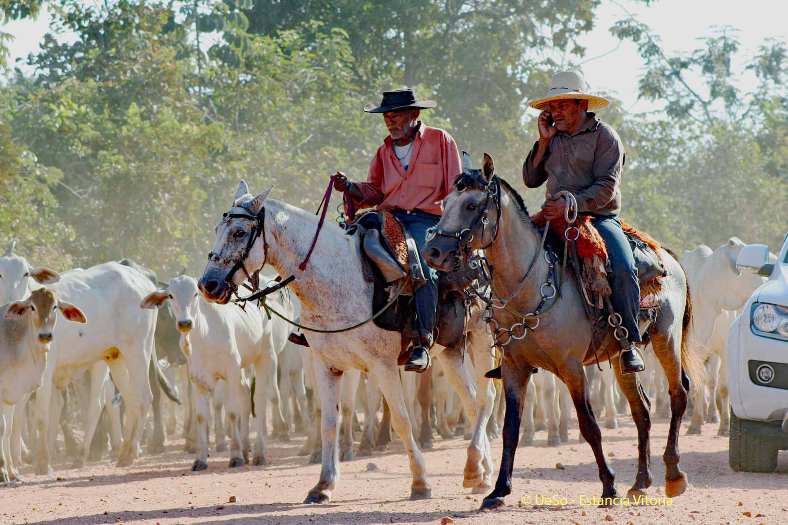 Vaqueiros na Transpantaneira