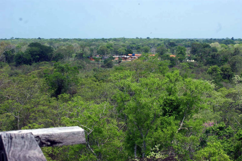 Vista da torre sobre a terra aluvial